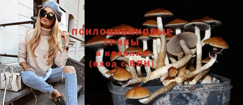 Псилоцибиновые грибы MAGIC MUSHROOMS  Липки 